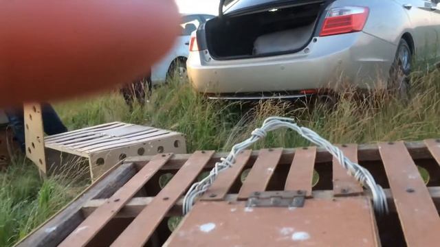 Соревнование, спортивных голубей, на 215км 2020год. Казахстан смотреть онлайн