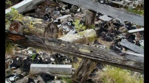 Крутоборка 2017. Поселок Вятлага и дорога к нему.