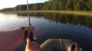 Щука найдена. ключ к рыбе подобран:)