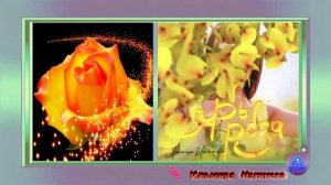 ЙөрәкТау!Ильмира Нагимова .  Сары роза