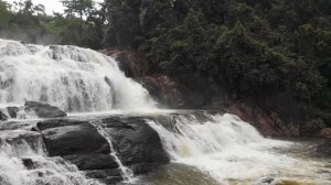 "SINHARAJA FOREST"  SRI LANKA