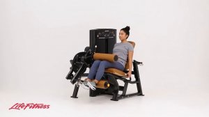 Axiom Seated Leg Curl | Life Fitness