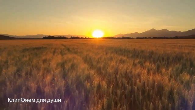 МУЗЫКА для Сна! Эту музыку можно слушать вечно! Самая Красивая Музыка! Расслабишься!