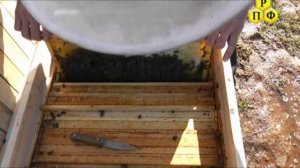 На пасеке Александра Корешкова_2012_3