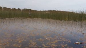 Как самодельная блесна незацепляйка проходит препятствия