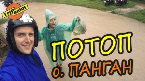 АРХИВ. Наводнение в Таиланде. ОСТРОВ ПАНГАН. Сезон дождей