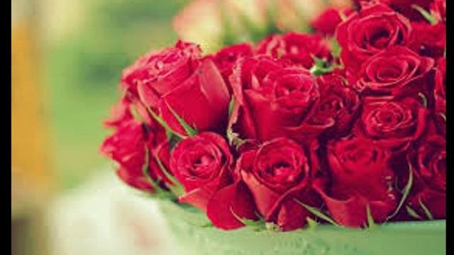 слайд шоу смотреть онлайн