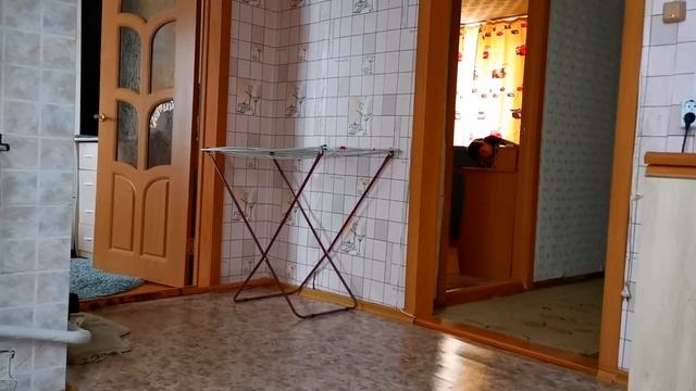 На Одно Такси Работаю/Что в Нашем Холодильнике/Как Мама Выходному Радуется/26.02.21 смотреть онлайн