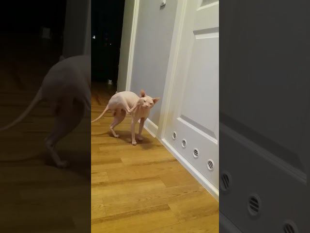 Маня под дверями смотреть онлайн