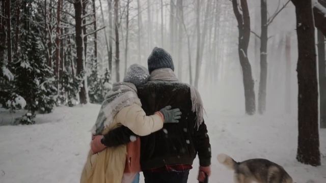 Почему нужно посадить у дома рябину? смотреть онлайн