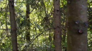 Установка желобов для водоотвода с крыши. Отвод воды с двухскатной крыши.