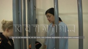 Хозяйка алабая, обвиняемая в натравливании собаки , после задержания заявила, что это случайность