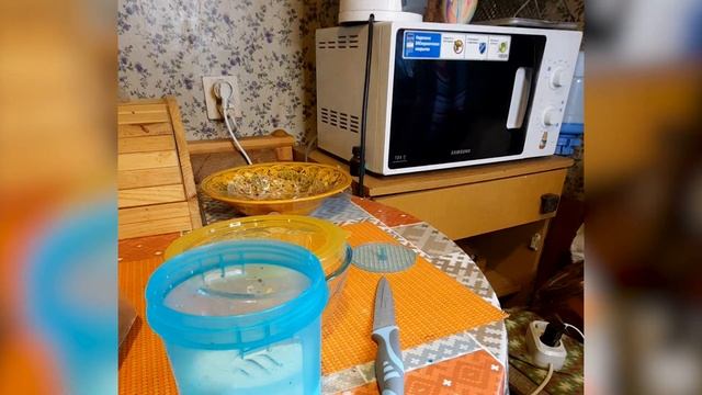 Пробую новую кофеварку и готовлю омлет в микроволновке, тест новой миски. смотреть онлайн