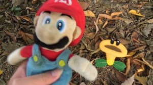 Crazy Mario Bros: Super Mario Bros Wonder!