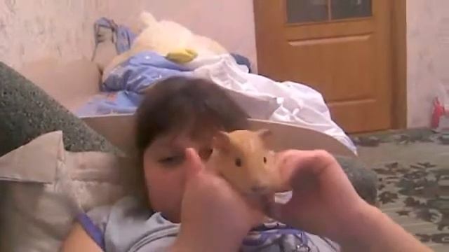 Видео с веб-камеры Длоата: 1 марта 2014 г., 19:43. смотреть онлайн