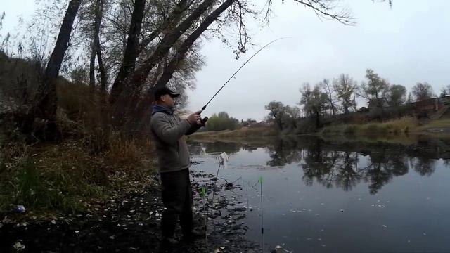 Ловля КРУПНОГО ОКУНЯ НА ЖИВЦА ОСЕНЬЮ на ОТВОДНОЙ ПОВОДОК