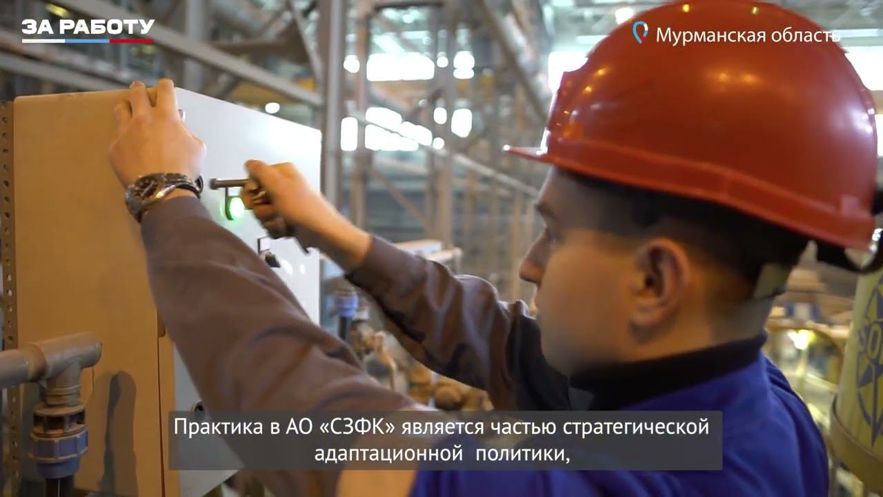 Алексей Цешеевский, практикант АО "СЗФК" #заработу