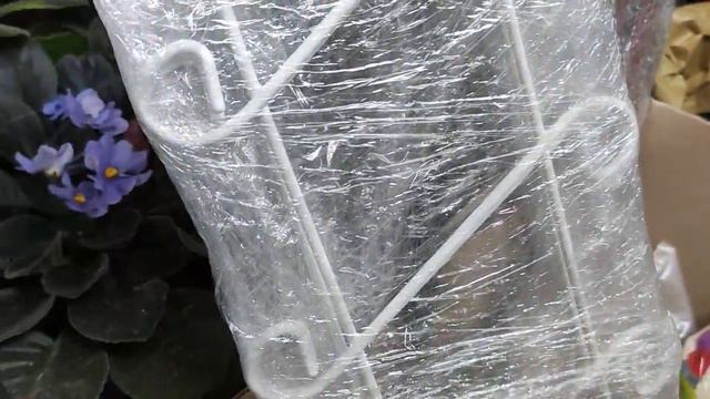 #домашниеЦветы4.03.2020г.Пересадка цветов,что я покупаю для этого