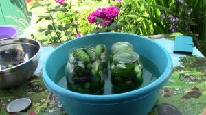 Огурцы на зиму с горчичным порошком.mp4