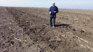 Безотвальная пахота - чизелевание плугом ПС-8/35!