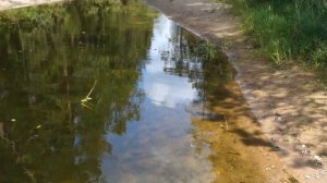 Протока-копанка на озере Селигер