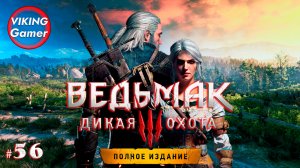 Ведьмак 3: Дикая Охота  Прохождение  # 56 заказы