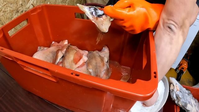 Как приготовить вяленого морского окуня. "How to cook dried sea bass".