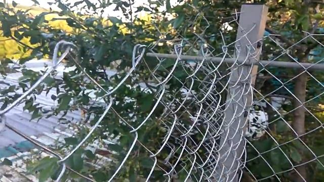 Молгачи смотреть онлайн