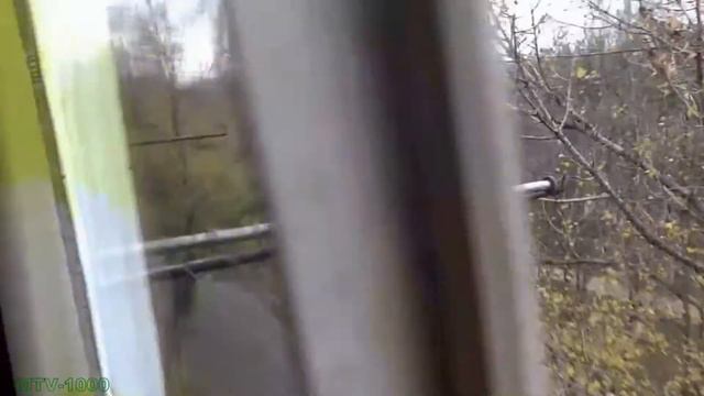 Не адекваты. спец. дурдом. Самое популярное видео на youtube смотреть онлайн