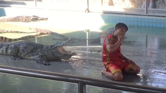 2019 Крокодиловая ферма и зоопарк в Паттайе смотреть онлайн