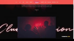 DJO - Night Club and DJ WordPress mp3 player album Easy Create Website