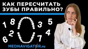 Зубы - сколько зубов у человека? Номера зубов в стоматологии | Mednavigator.ru