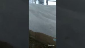Содержание индоуток зимой в теплице