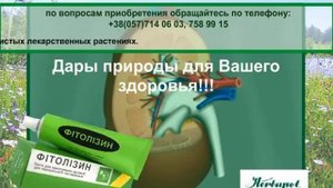 Фитолизин (мочекаменная болезнь, пиелонефрит, цистит)