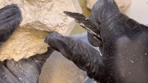 Чистка глины Горная Белая #асмр #глина #мел #чисткаглины #горнаябелая