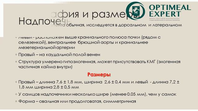 Промо відео: Ультразвукове дослідження з Галиною Мазуркевич. Модуль 2 смотреть онлайн