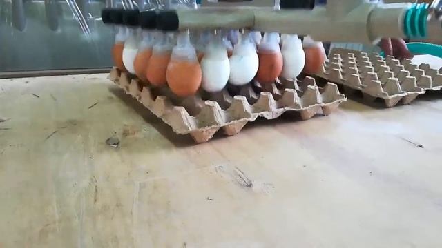 Вакуумный ручной транспортер для яиц. Спрут Технолоджи смотреть онлайн