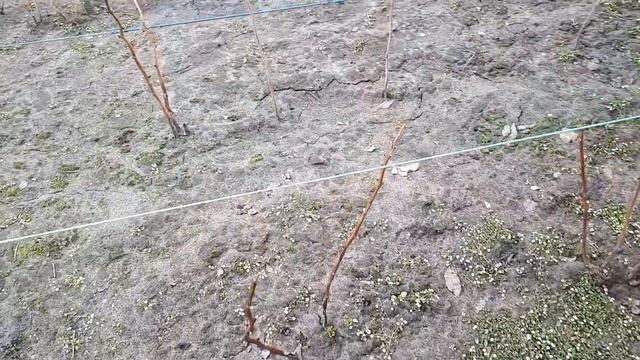 "ЗАМОРЫВСЯ" ЕЛЕ ИДУ.... смотреть онлайн