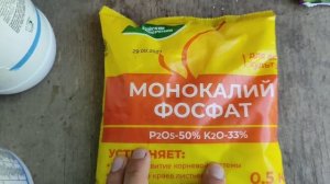 Чем подкармливать метельчатые гортензии в течение сезона.