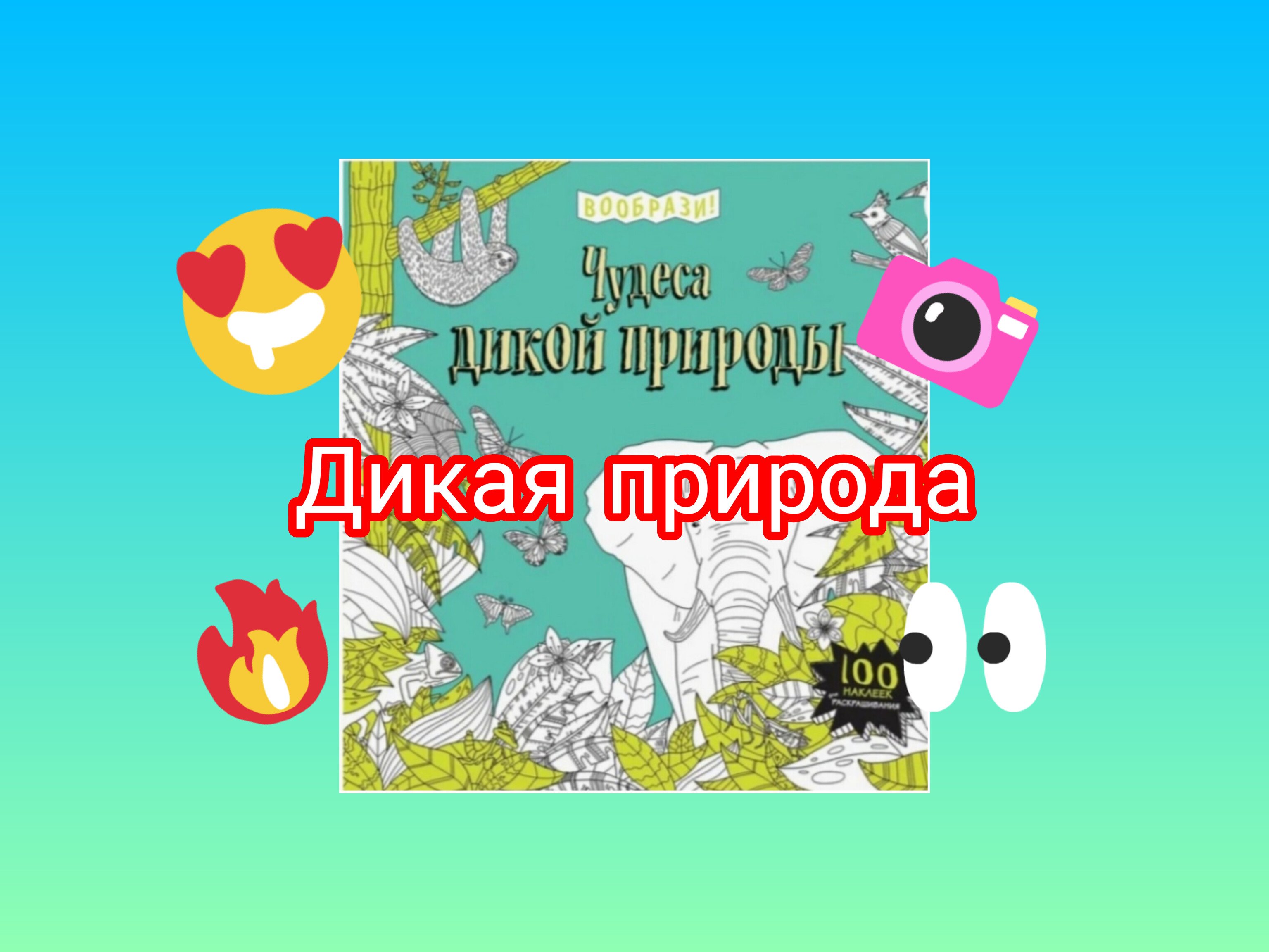 Раскрасим раскраску!