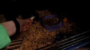 ЧЕМ КОРМИТЬ КРЫС || Крупы, зерно, животный белок, молочные продукты