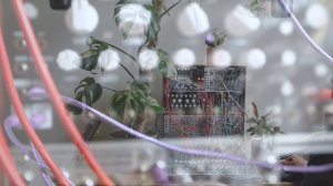 Anthurium — Variegata [epic, uplifting ambient Eurorack synthesizer jam with SWN, Magneto & friends