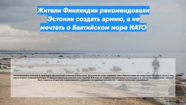 Жители Финляндии рекомендовали Эстонии создать армию, а не мечтать о Балтийском море НАТО