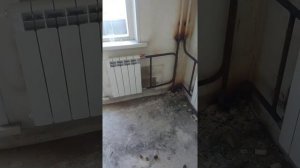Замена конвекторов на биметаллические радиаторы Красноярск, ул. Забобонова, д. 16 89131706779