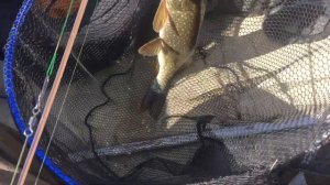 Рыбалка в Ангарском соре.