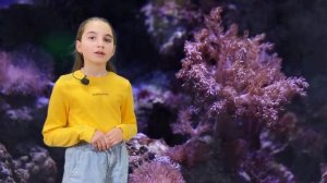Что нужно знать про моря и океаны