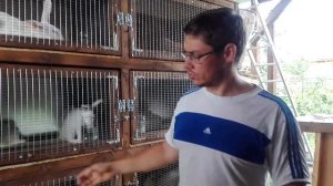 СКОЛЬКО СТОИТ 6-И МЕСТНАЯ КЛЕТКА ДЛЯ КРОЛИКОВ СВОИМИ РУКАМИ