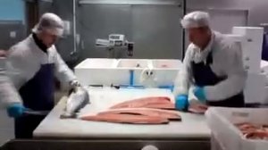 Разделка семги на филе