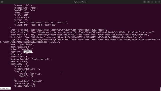 (2023-07-11) Docker - How to view the container's setting смотреть онлайн