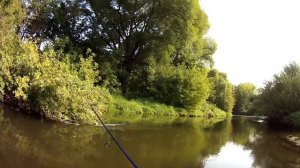 Family fishing выпуск 15 Ультралайт на Пахре